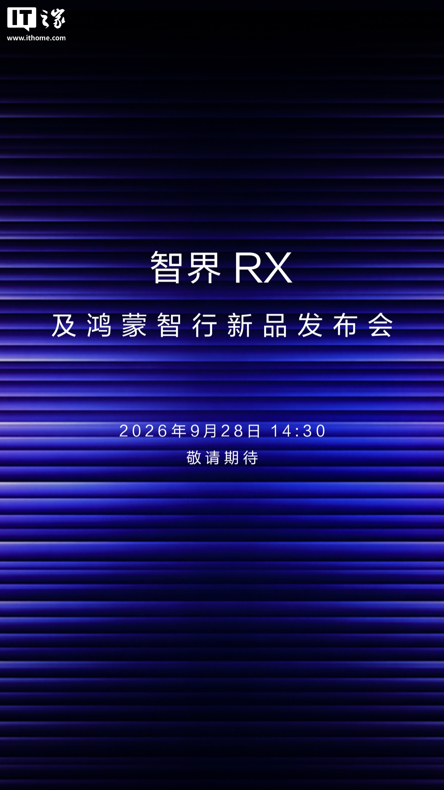 蓝鲸直播
